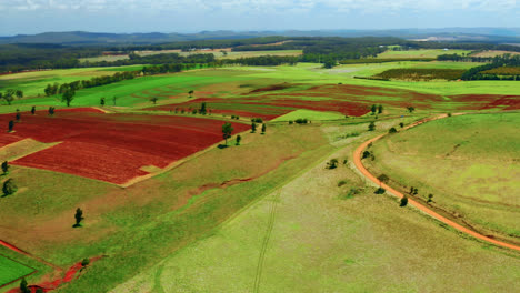 aerial view of colorful farm fields in atherton tablelands, queensland, australia - drone shot