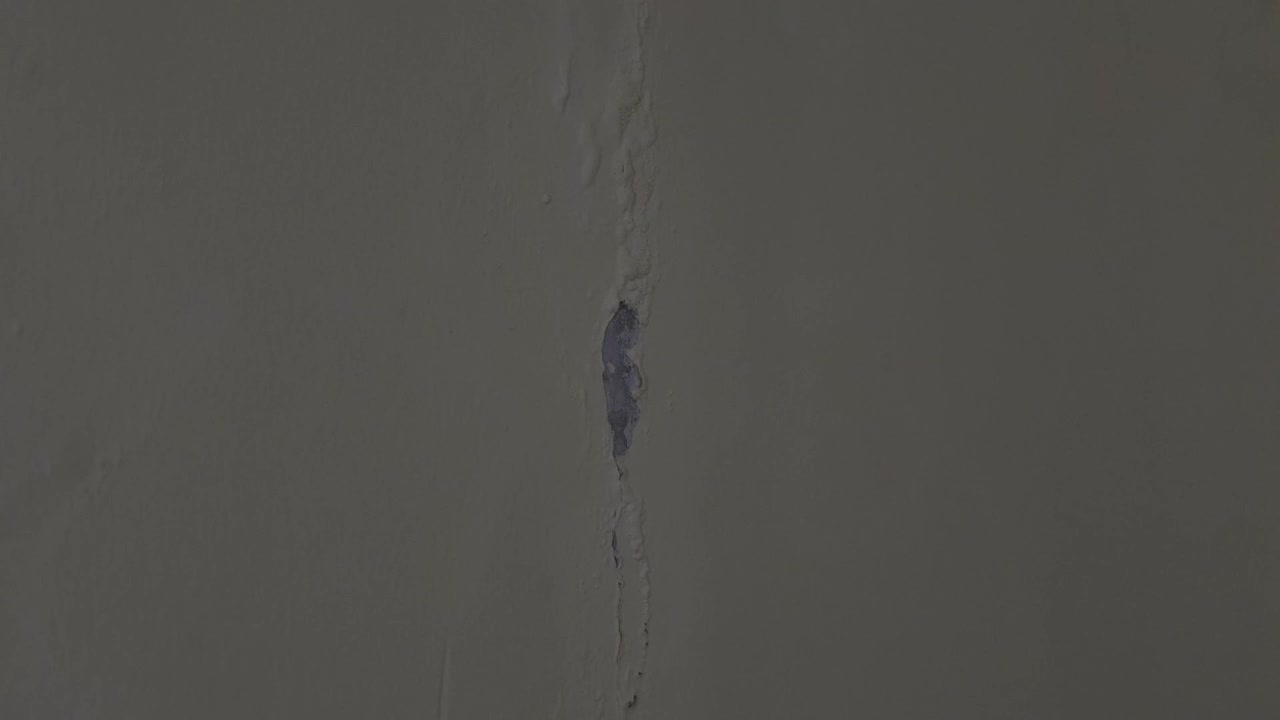 An establishing shot of severe structural neglect, a vertical crack with peeling paint and dark mold spreading down an interior residential wall
