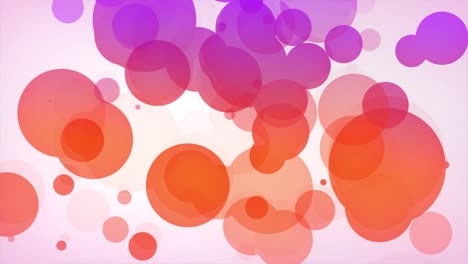 formas de burbujas líquidas dinámicas que fluyen elementos gráficos de movimiento. círculos de fondo de movimiento de gradiente de fluido con forma de color dinámica. animación de bucle sin costuras