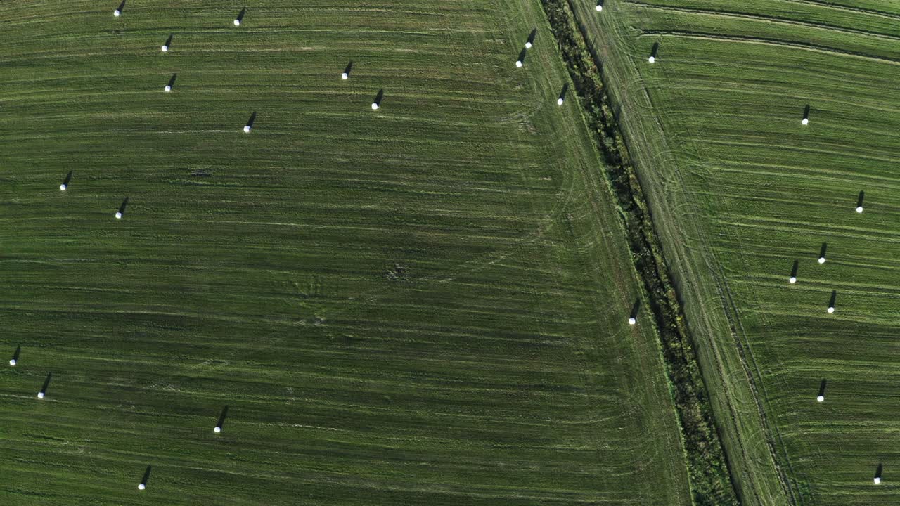 잔디 어리와 함께 녹색 은 의 부분.. 둥근 잔디과 함께 큰 녹색 필드. 시골의 을 위해 아름다운 수확 된.