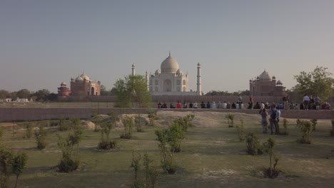 tracking tilt up through bushes of taj mahal at sunset at agra, agravanam, yamuna river, uttar pradesh, india.