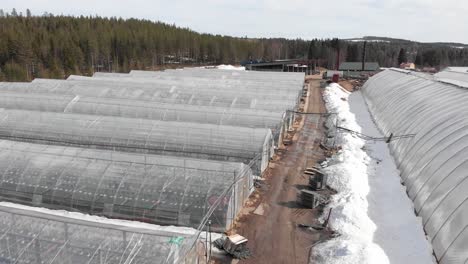 clear-polyethylene-greenhouses-row-in-Plant-Nursery-in-Hallnas,-Sweden---Aerial-low-fly-over-shot