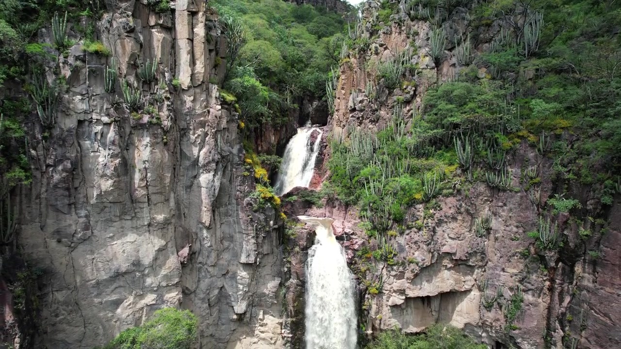 Riprese aeree con drone che salgono attraverso una fitta vegetazione e pareti rocciose di canyon per rivelare una cascata panoramica nascosta all'interno di Cerro Blanco ad Aguascalientes, Messico. Paesaggio naturale cinematografico con acqua che scorre.