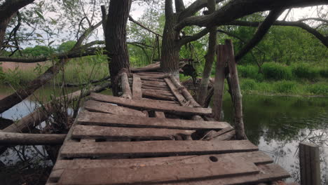 small wooden bridge made of branches and planks serene river in a lush green forest during a tranquil sunny morning