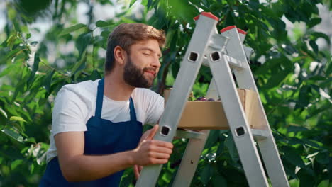 agribusiness hombre trabajador sonriendo en la granja orgánica impresionante recogiendo bayas frescas