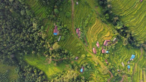 Terrassenfelder-Der-Nepalesischen-Hügel,-Luftaufnahme-über-Dem-Kopf