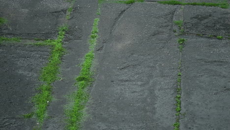 在歐洲的路上下雨