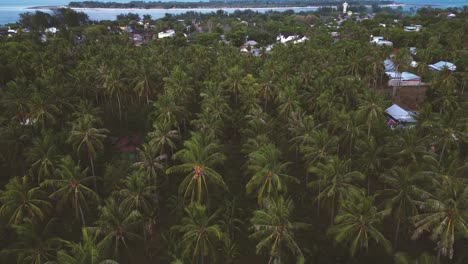 Vista-De-Pájaro-De-Las-Plantaciones-De-Cocoteros-En-La-Isla-De-Gili-Trawangan-En-Indonesia-Al-Atardecer