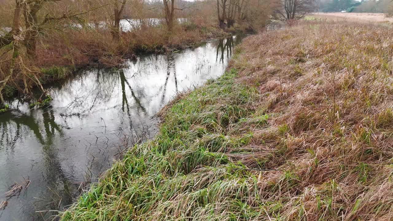 Tranquil riverside scene with lush grass and reeds along Little Ouse near Barnham
