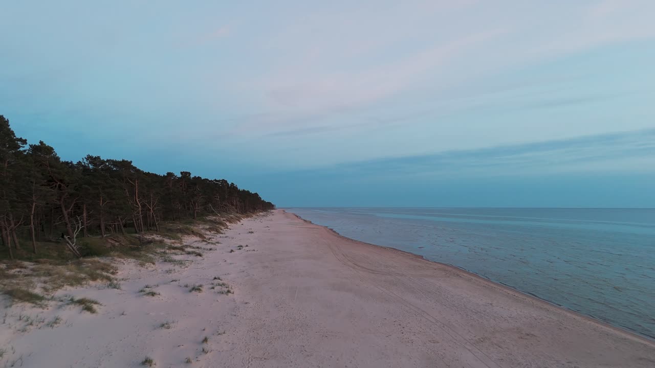 Aerial Birdseye View of Baltic Sea Coast on a Sunny Day, Seashore Dunes Damaged by Waves, Broken Pine Trees, Coastal Erosion, Climate Changes, Wide Angle Drone Shot