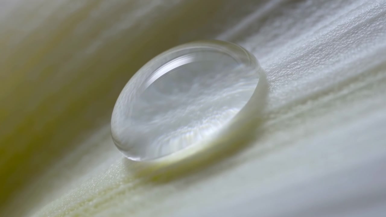 Vue macro extrême d'une seule goutte d'eau claire posée sur un pétale de fleur pâle, montrant un ménisque convexe, un reflet spéculaire lumineux, une légère ombre circulaire, une texture organique douce et une ambiance calme et minimale.