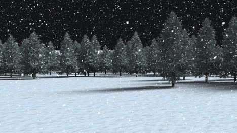 animation of multiple fir trees with snow falling on black background