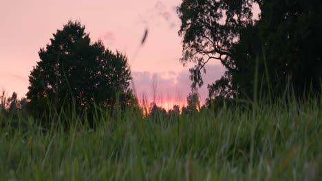 grassy field at sunset near the joseph smith family farm, frame house, temple, visitors center, and the sacred grove in palmyra new york origin locations for the mormons and the book of mormon