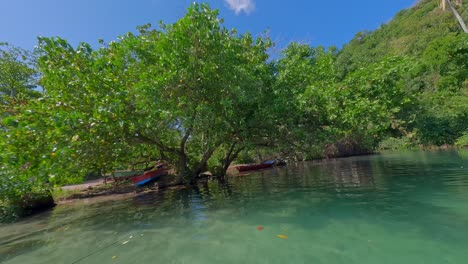 Vuelo-De-Drones-FPV-A-Través-De-Bosques-De-Manglares-Tropicales-Sobre-Barcos-Y-Debajo-De-árboles