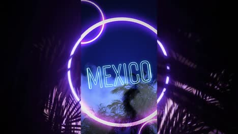 Animation-of-mexico-text-and-ring-in-purple-neon,-with-blue-sky-over-palm-leaves-on-black-background