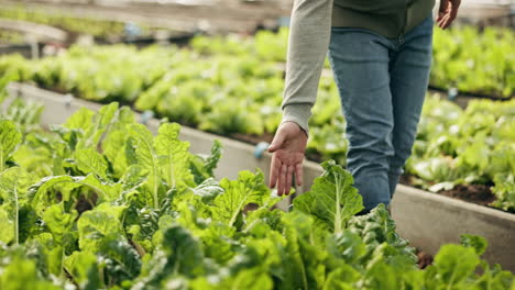 plant farm inspection, legs