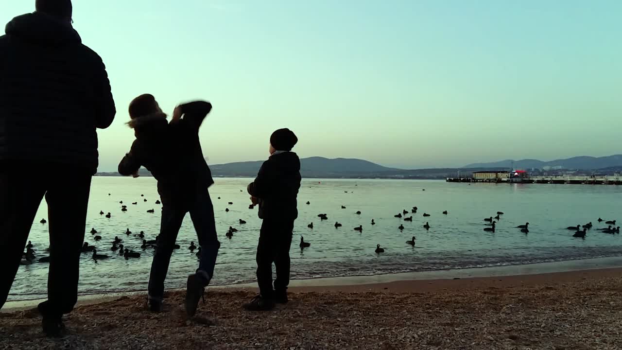 해가 뜨고 해가 지는 동안 해변에서 오리들을 지켜보는 가족