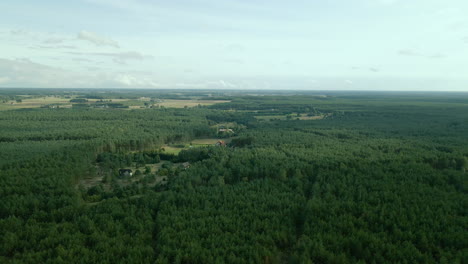 vista aérea de la campiña polaca con grandes bosques verdes y edificios agrícolas