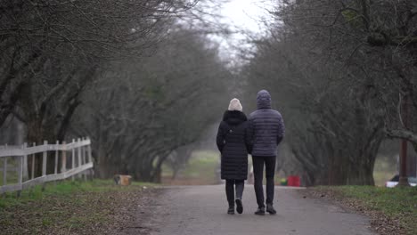 People-walking-in-the-fog-towards-the-end-of-the-alley-with-trees.-Mysterious-atmosphere-in-the-big-city