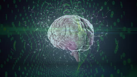animación del cerebro girando sobre un fondo verde y negro con conexiones neuronales
