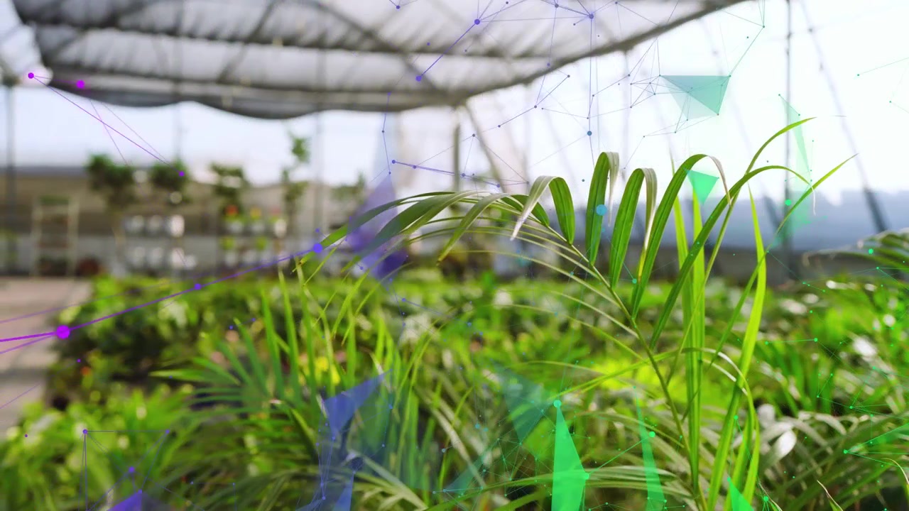 Overlay che appare all'inizio, poligoni che si spostano sulle palme mentre visualizzano dati sulle piante.