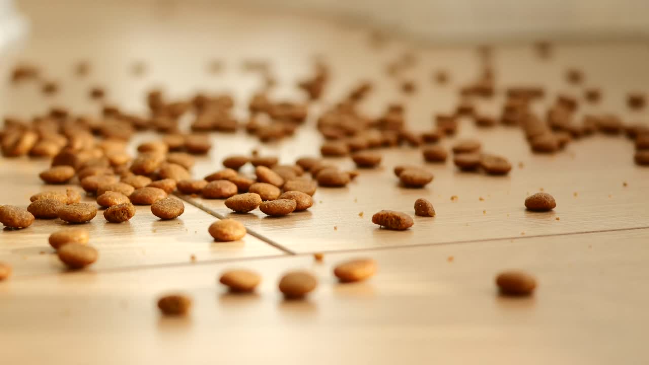 Scattered pet food on the floor