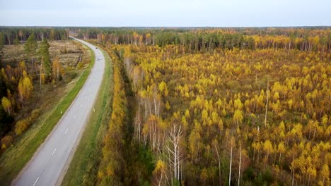 Wunderschöne-Luftaufnahmen,-Flug-über-Bunten-Herbstwald-Mit-Gelben-Birken-Und-Tannen,-Autos-Auf-Der-Straße,-Weitwinkel-Drohnenaufnahme,-Die-Sich-Rückwärts-Bewegt