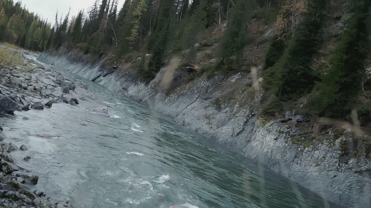 río de montaña en un bosque