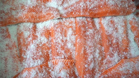 top-down view slowly zooming in at industrial container filled with fresh raw salmon fillets - salting salmon