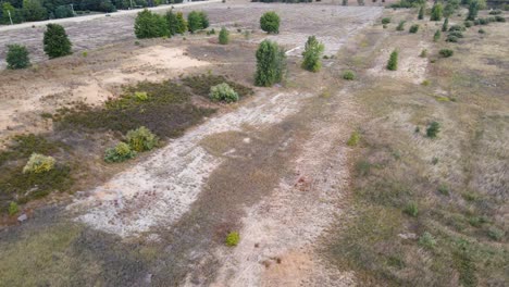 Point-of-view-exploration-of-an-abandoned-racetrack