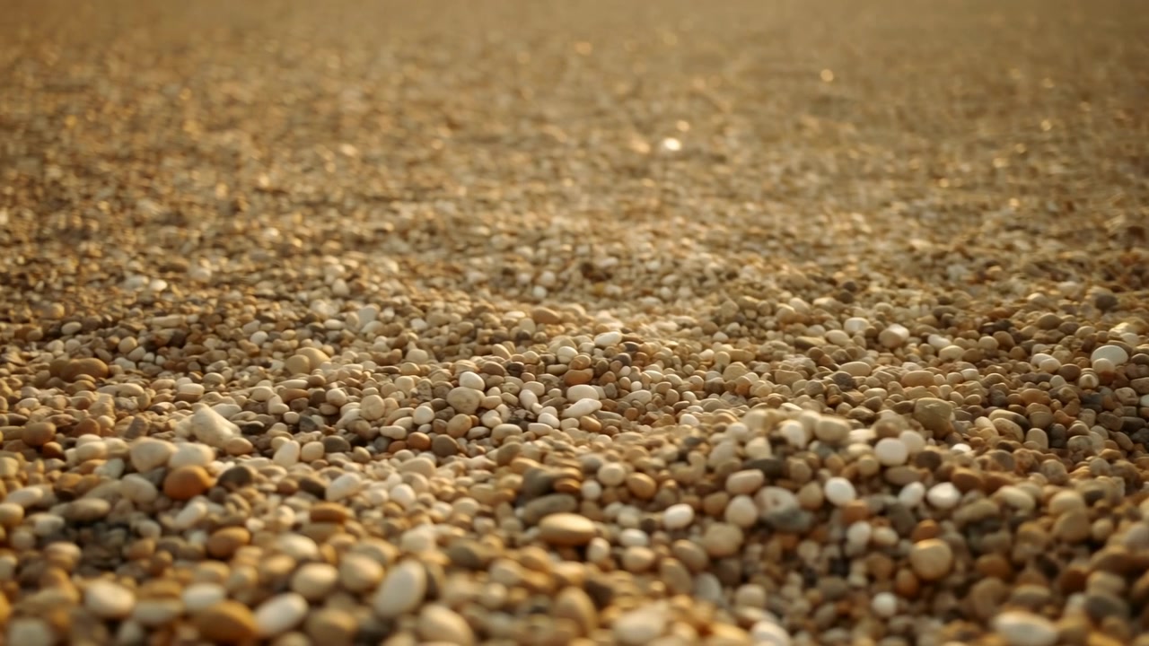 Plano detalhe de ângulo baixo de um primeiro plano de praia coberta de seixos, mostrando milhares de pequenas conchas e pedras arredondadas na luz dourada do fim da tarde. Um pequeno monte