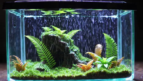 small aquarium with artificial plants and rocks