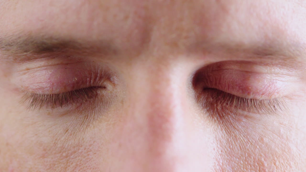 광학에서 사람의 얼굴, 눈 및 시력의 매크로