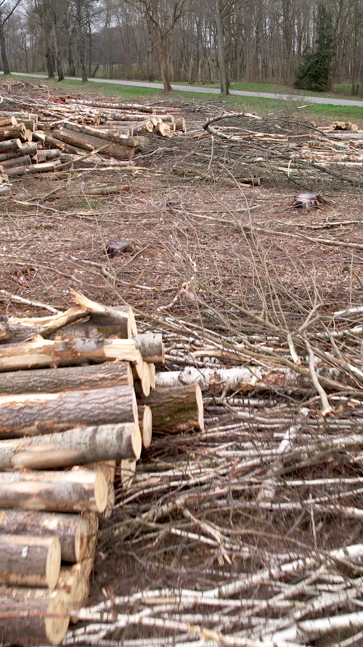 A wide shot of a logging site featuring piles of cut timber and scattered branches after forest clearing. Ideal for environmental and industrial themes