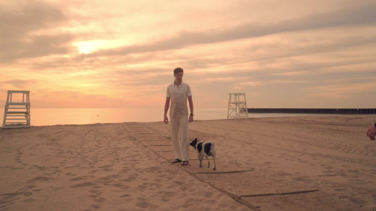 해가 지는 해변에서 강아지를 산책시키는 여자. 해변에서 산책하는 두 마리의 개