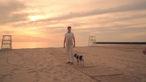 woman walking dog on beach at sunset. two dogs on walk on beach