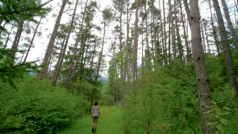 Sie-Neigt-Sich-Von-Den-Baumwipfeln-Herab-Zu-Einer-Frau,-Die-In-Der-Ferne-Einen-Grünen,-Grasbewachsenen-Waldweg-Entlang-Geht