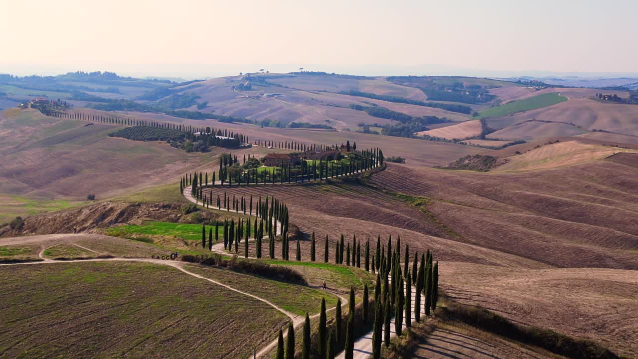 아름다운 상공 뷰 비행 토스카니 사이프리스 애비뉴 시골 골목 이탈리아