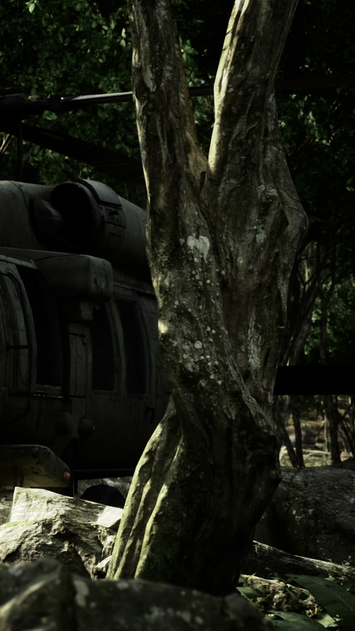 Military helicopter parked near trees in a dense forest area during daylight