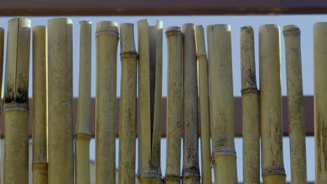 Bamboo-fence-privacy-panel,-top-edge-section,-outside-in-the-sun,-panning-right