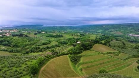 4k-Drone-Shot-of-Tuscan-vineyards-along-the-paths-of-the-countryside