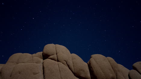 Joshua-Tree-Starlapse1