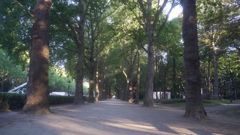 beautiful park road next to the koekelberg cathedral in the capital city of brussels, belgium, on a warm summer morning