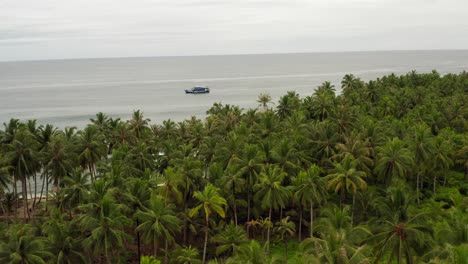 jungle reveal boat mentawai indonesia