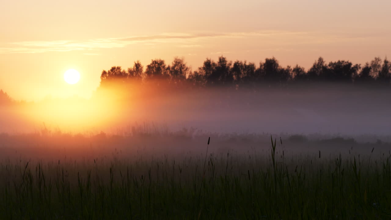 удивительный пейзаж белый туман на лугу на закате