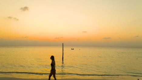 aerial, woman in wetsuit walking on beach during orange sunset, maldives