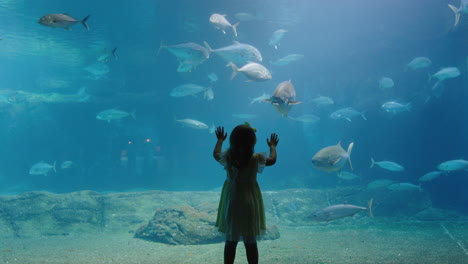 little girl in aquarium looking at fish swimming in tank happy child watching beautiful marine animals in oceanarium having fun learning about sea life in aquatic habitat