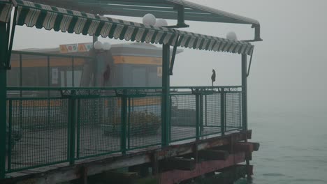 parada de vaporetto con niebla en venecia, italia