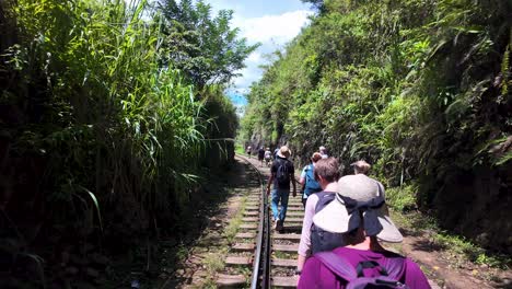a group of tourists walks along lush railway tracks in ella, sri lanka, surrounded by verdant foliage and clear skies. this adventurous scene captures exploration and nature's beauty.