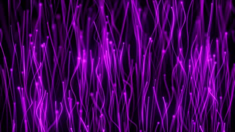 líneas púrpuras brillantes abstractas